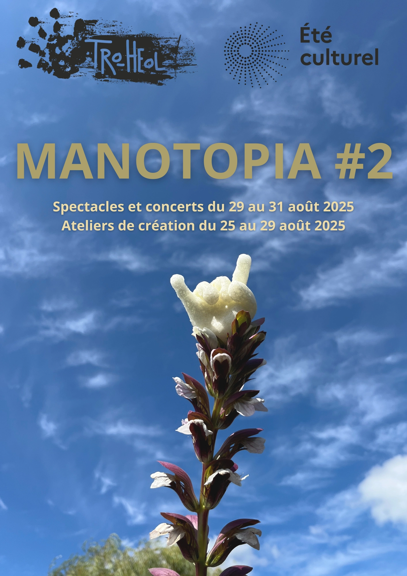 Image affiche festival manotopia Tro Heol Quemeneven