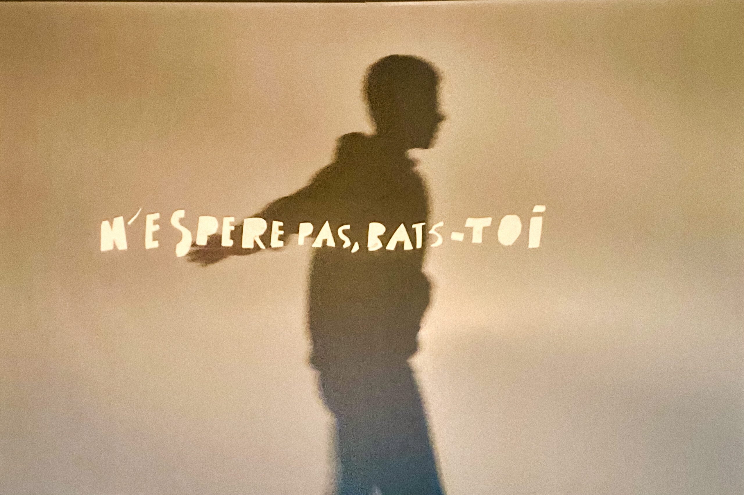 photo formation théâtre d'ombre, jouer avec les images lumineuses