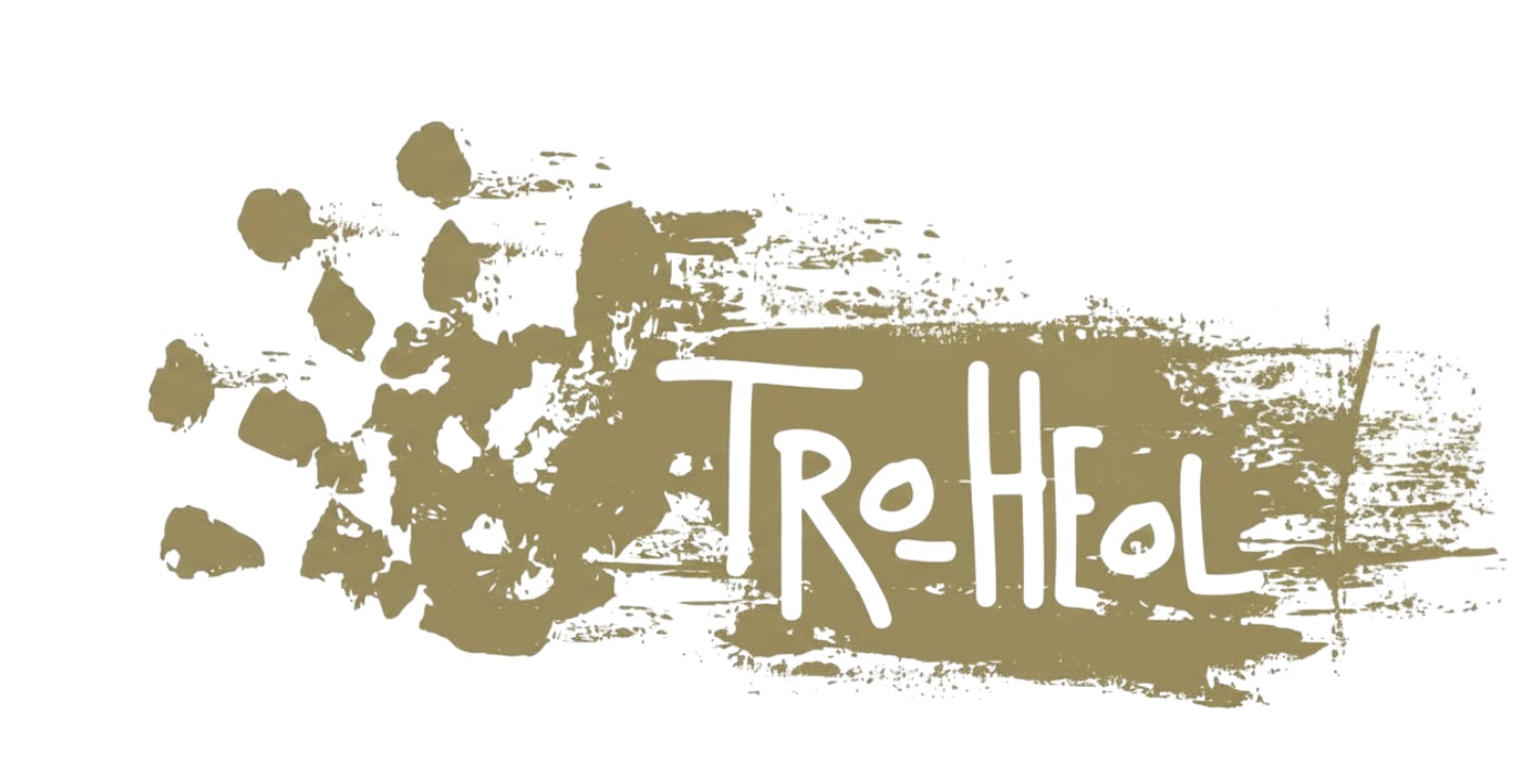 logo Tro Heol doré